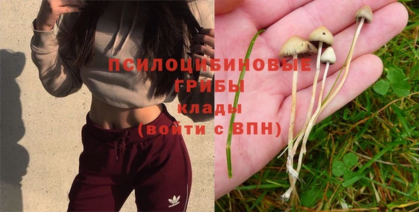 первитин Армянск