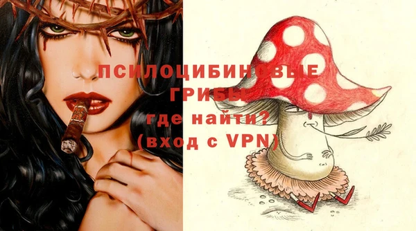 прущий лед Алзамай