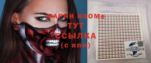 прущий лед Алзамай