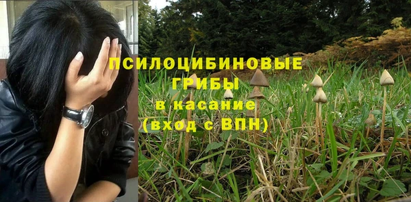 мет Арсеньев