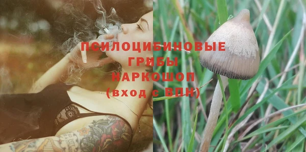 прущий лед Алзамай