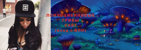 дурь Алексин